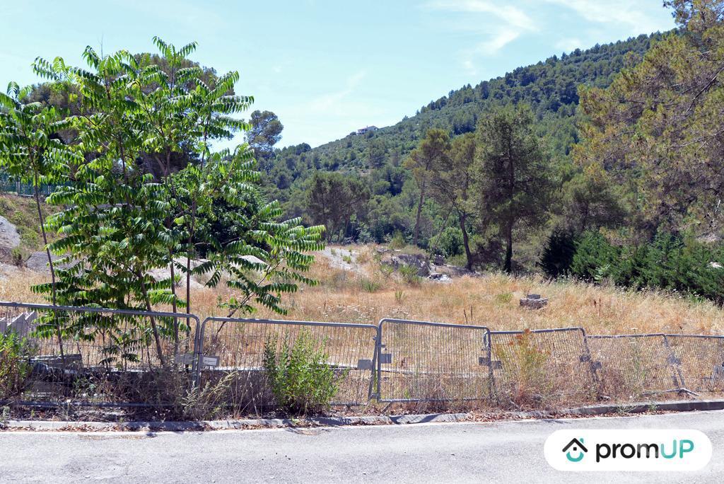 Terrain à vendre Alpes-Maritimes Contes - 06390 - Photos Vivastreet (VT918) Terrain constructible de 10 000m² situé à Contes