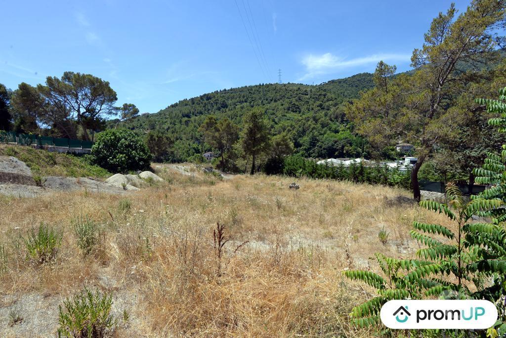 Terrain à vendre Alpes-Maritimes Contes - 06390 - Photos Vivastreet (VT918) Terrain constructible de 10 000m² situé à Contes