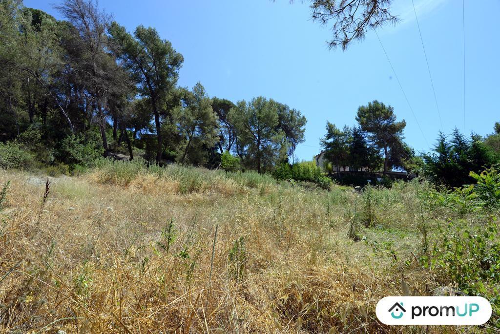 Terrain à vendre Alpes-Maritimes Contes - 06390 - Photos Vivastreet (VT918) Terrain constructible de 10 000m² situé à Contes