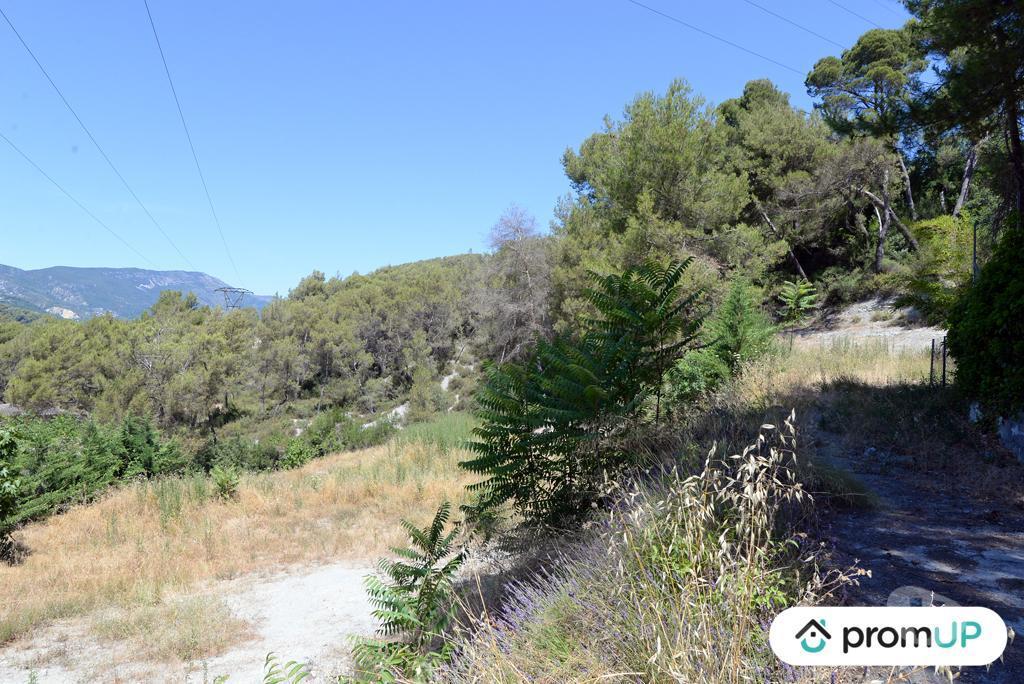Terrain à vendre Alpes-Maritimes Contes - 06390 - Photos Vivastreet (VT918) Terrain constructible de 10 000m² situé à Contes