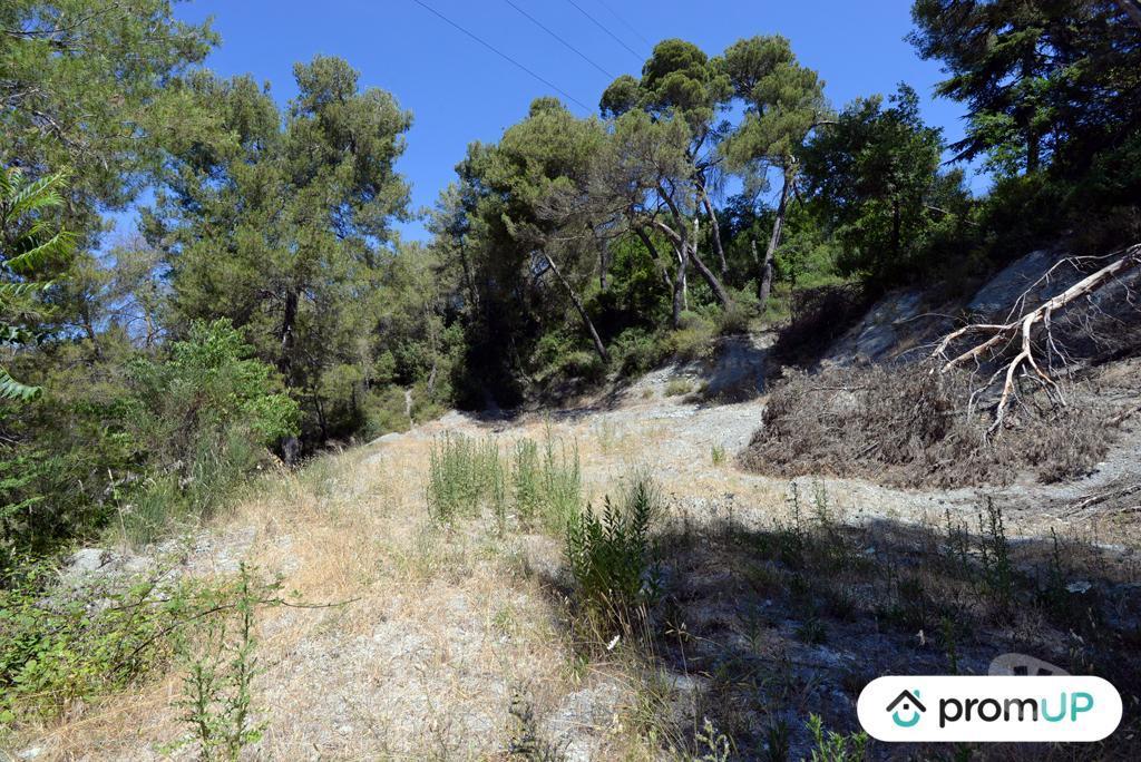 Terrain à vendre Alpes-Maritimes Contes - 06390 - Photos Vivastreet (VT918) Terrain constructible de 10 000m² situé à Contes