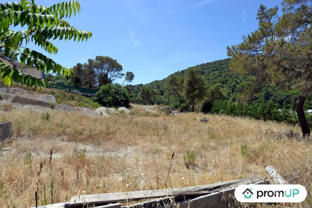 Terrain à vendre Alpes-Maritimes Contes - 06390 - Photos Vivastreet (VT918) Terrain constructible de 10 000m² situé à Contes