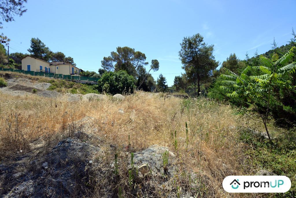 Terrain à vendre Alpes-Maritimes Contes - 06390 - Photos Vivastreet (VT918) Terrain constructible de 10 000m² situé à Contes