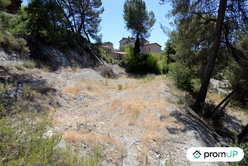 Terrain à vendre Alpes-Maritimes Contes - 06390 - Photos Vivastreet (VT918) Terrain constructible de 10 000m² situé à Contes