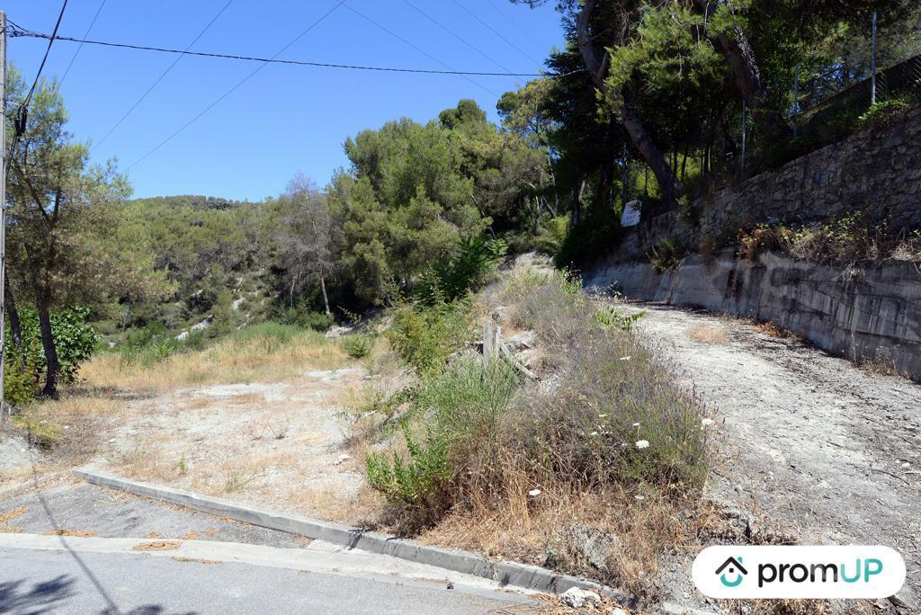 Terrain à vendre Alpes-Maritimes Contes - 06390 - Photos Vivastreet (VT918) Terrain constructible de 10 000m² situé à Contes