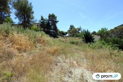 Terrain à vendre Contes Alpes-Maritimes - Photos Vivastreet (VT918) Terrain constructible de 10 000m² situé à Contes