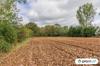 Terrain à vendre Cherveix Cubas Dordogne - Photos Vivastreet (VT556) Terrain constructible de 5 070 m²