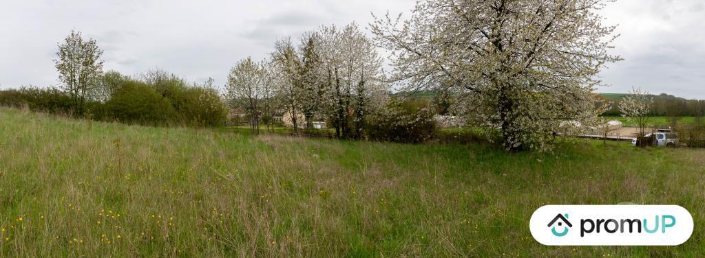 Terrain à vendre Marne Montmirail - Photos Vivastreet (V5750) Terrain constructible de 1 715 m2 à Montmirail