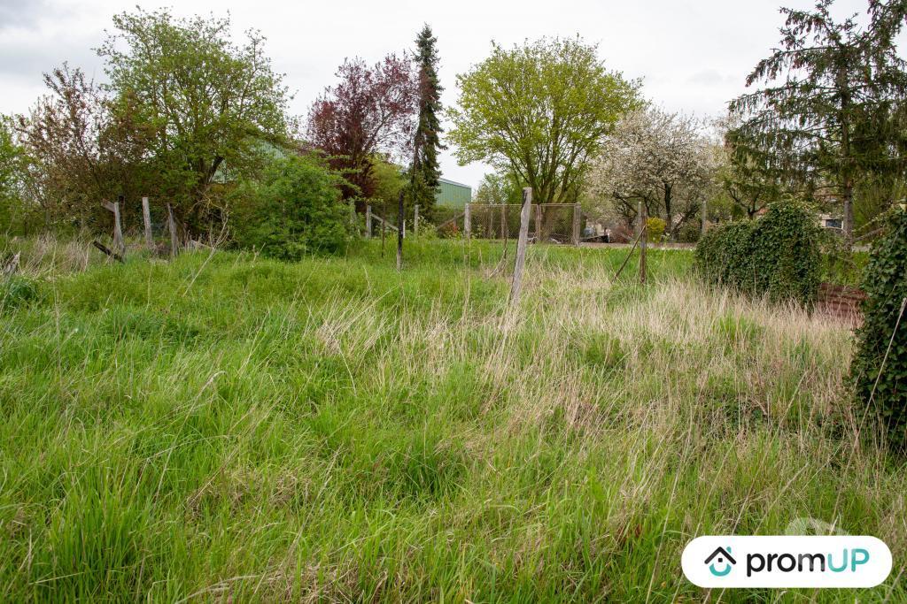 Terrain à vendre Marne Montmirail - Photos Vivastreet (V5750) Terrain constructible de 1 715 m2 à Montmirail