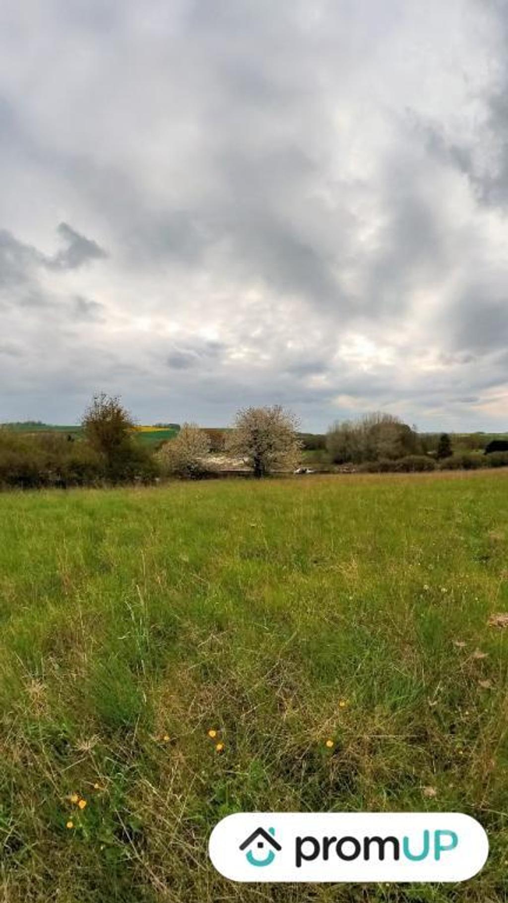 Terrain à vendre Marne Montmirail - Photos Vivastreet (V5750) Terrain constructible de 1 715 m2 à Montmirail