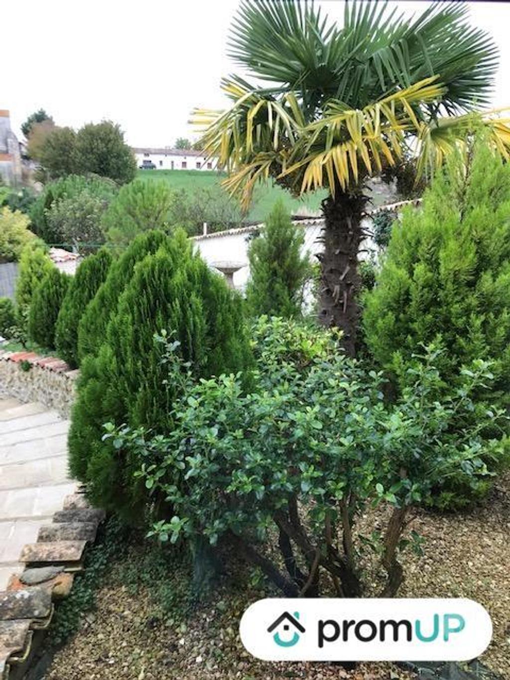 Vente Maison Charente-Maritime Belluire - 17800 - Photos Vivastreet (VM834) Maison charentaise de 218 m² mitoyenne d’un côté