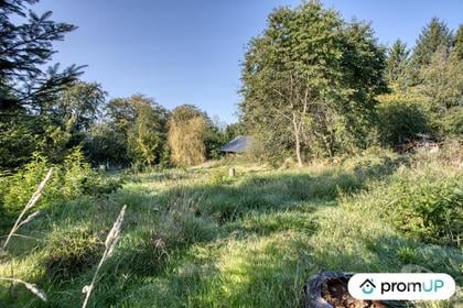 Vente Terrain St Clair de Halouze Orne - Photos Vivastreet (VT584) Terrain constructible 4 000 m²