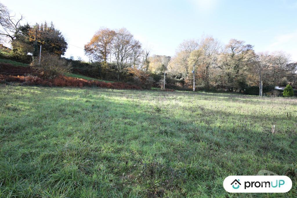 Terrain à vendre Pyrénées-Atlantiques Casteide Cami - 64170 - Photos Vivastreet (V4986) Terrain constructible de 1633m2 à Casteide-Cami