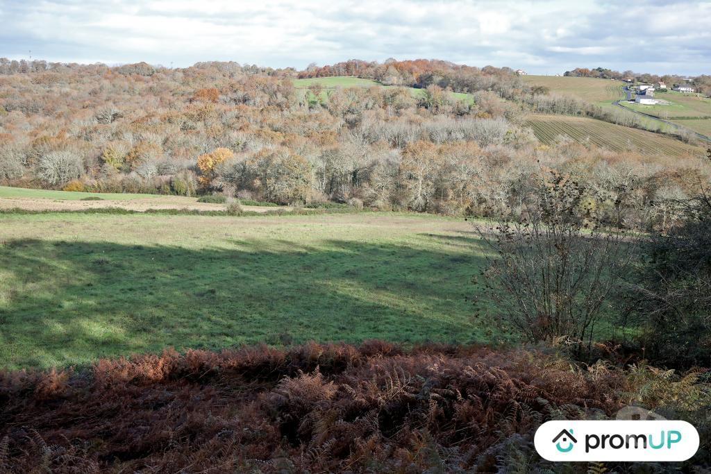 Terrain à vendre Pyrénées-Atlantiques Casteide Cami - 64170 - Photos Vivastreet (V4986) Terrain constructible de 1633m2 à Casteide-Cami