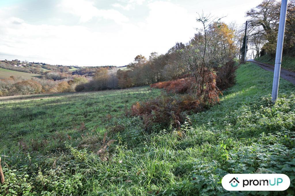 Terrain à vendre Pyrénées-Atlantiques Casteide Cami - 64170 - Photos Vivastreet (V4986) Terrain constructible de 1633m2 à Casteide-Cami