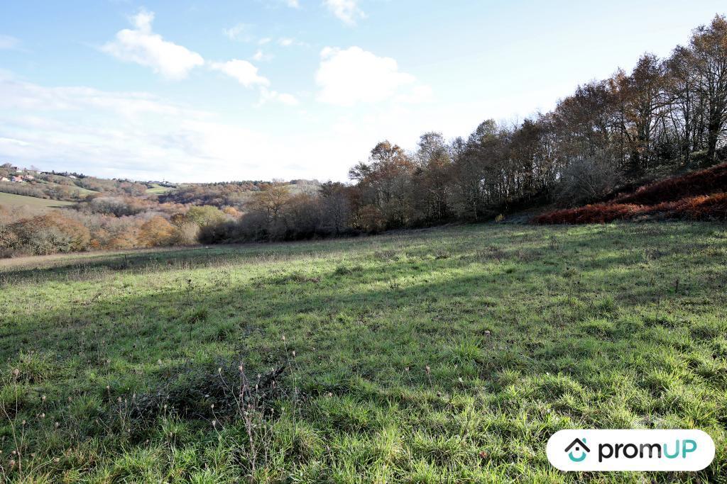 Terrain à vendre Pyrénées-Atlantiques Casteide Cami - 64170 - Photos Vivastreet (V4986) Terrain constructible de 1633m2 à Casteide-Cami