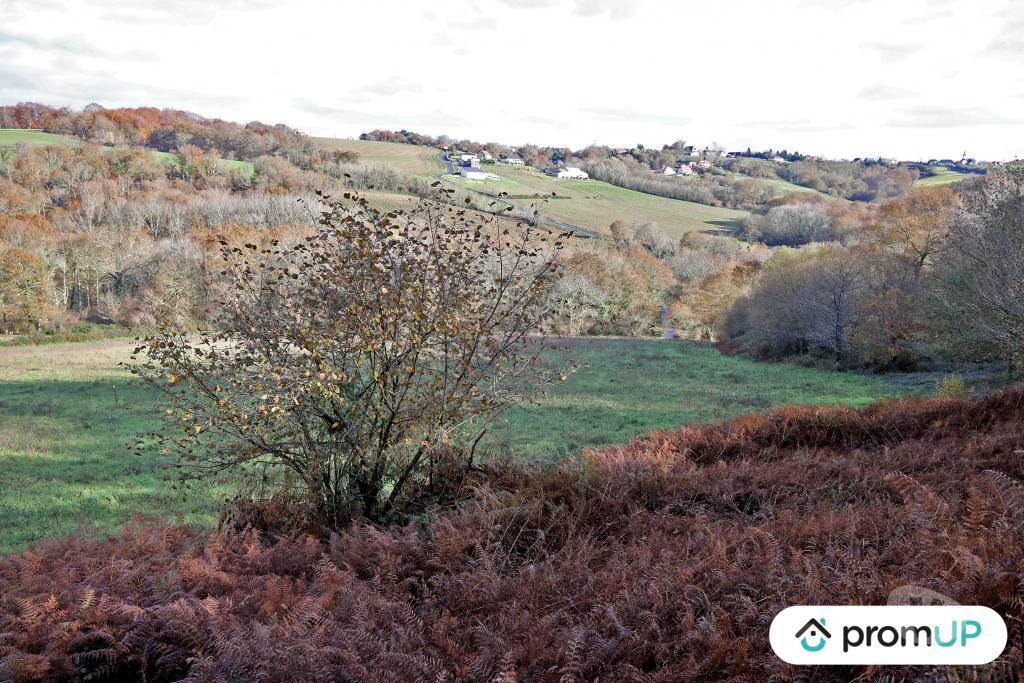 Terrain à vendre Pyrénées-Atlantiques Casteide Cami - 64170 - Photos Vivastreet (V4986) Terrain constructible de 1633m2 à Casteide-Cami