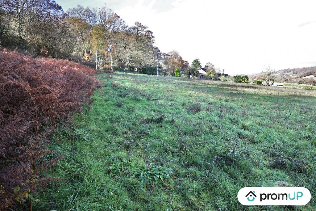 Terrain à vendre Pyrénées-Atlantiques Casteide Cami - 64170 - Photos Vivastreet (V4986) Terrain constructible de 1633m2 à Casteide-Cami