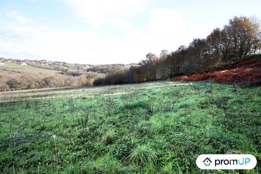 Terrain à vendre Pyrénées-Atlantiques Casteide Cami - 64170 - Photos Vivastreet (V4986) Terrain constructible de 1633m2 à Casteide-Cami