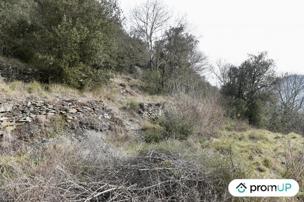 Terrain à vendre Gard Le Vigan - 30120 - Photos Vivastreet (V5399) Terrain constructible de 2 780m2 à Le Vigan