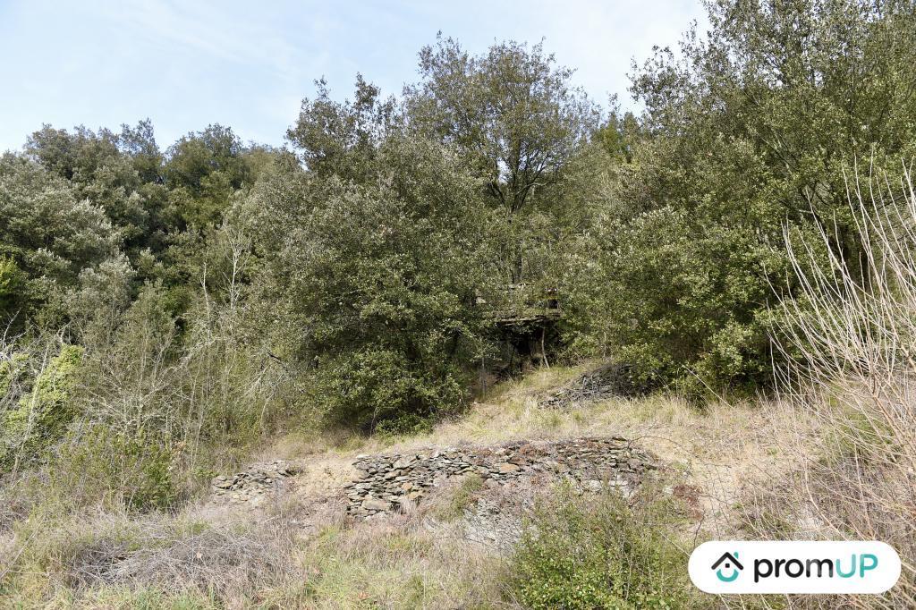 Terrain à vendre Gard Le Vigan - 30120 - Photos Vivastreet (V5399) Terrain constructible de 2 780m2 à Le Vigan