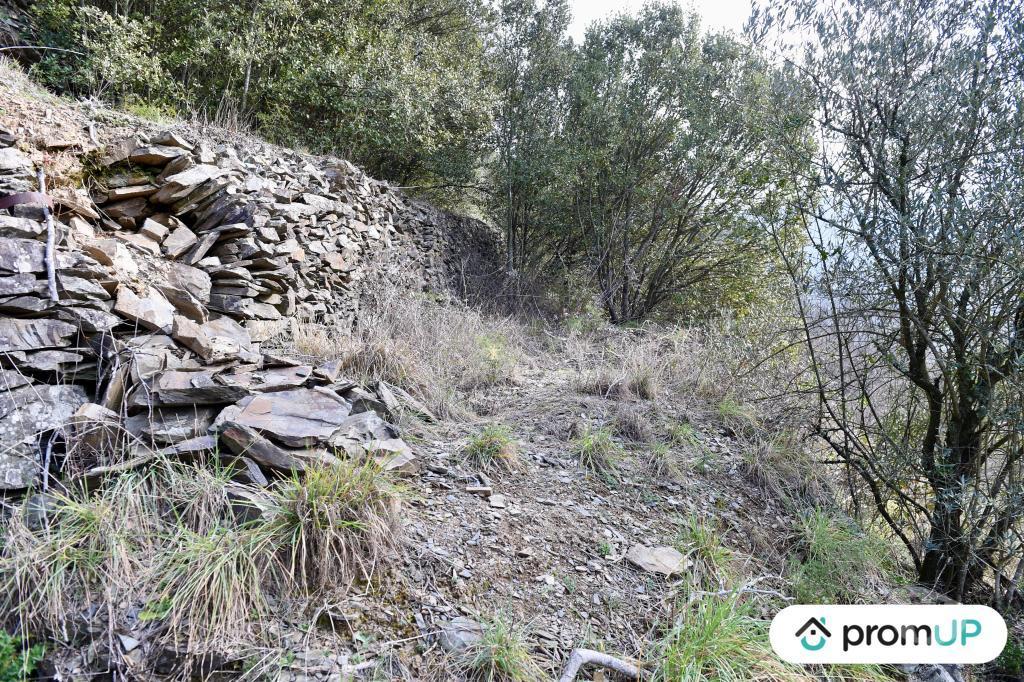 Terrain à vendre Gard Le Vigan - 30120 - Photos Vivastreet (V5399) Terrain constructible de 2 780m2 à Le Vigan