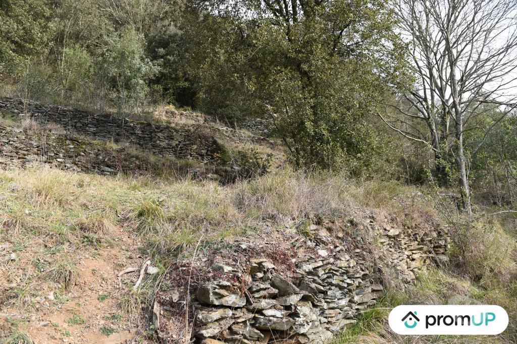 Terrain à vendre Gard Le Vigan - 30120 - Photos Vivastreet (V5399) Terrain constructible de 2 780m2 à Le Vigan