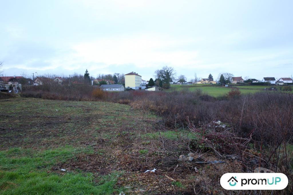 Terrain à vendre Saône-et-Loire Digoin - 71160 - Photos Vivastreet (V5417) Terrain constructible de 3 000 m2 à Digoin