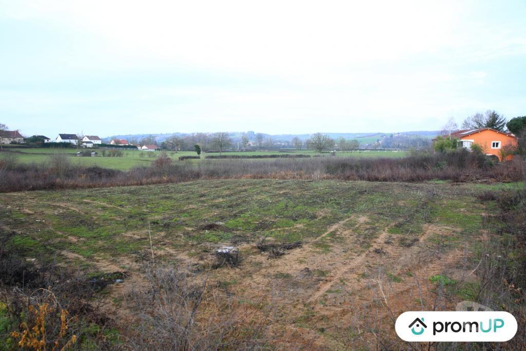Terrain à vendre Saône-et-Loire Digoin - 71160 - Photos Vivastreet (V5417) Terrain constructible de 3 000 m2 à Digoin