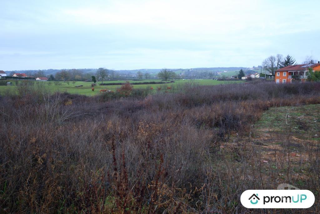 Terrain à vendre Saône-et-Loire Digoin - 71160 - Photos Vivastreet (V5417) Terrain constructible de 3 000 m2 à Digoin