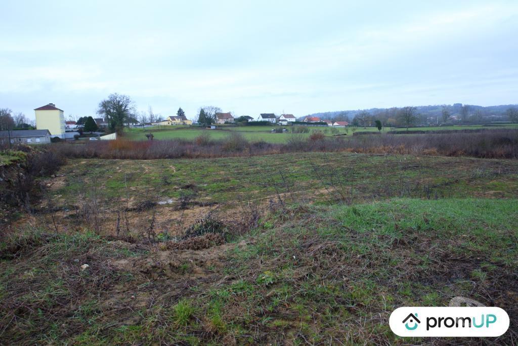 Terrain à vendre Saône-et-Loire Digoin - 71160 - Photos Vivastreet (V5417) Terrain constructible de 3 000 m2 à Digoin