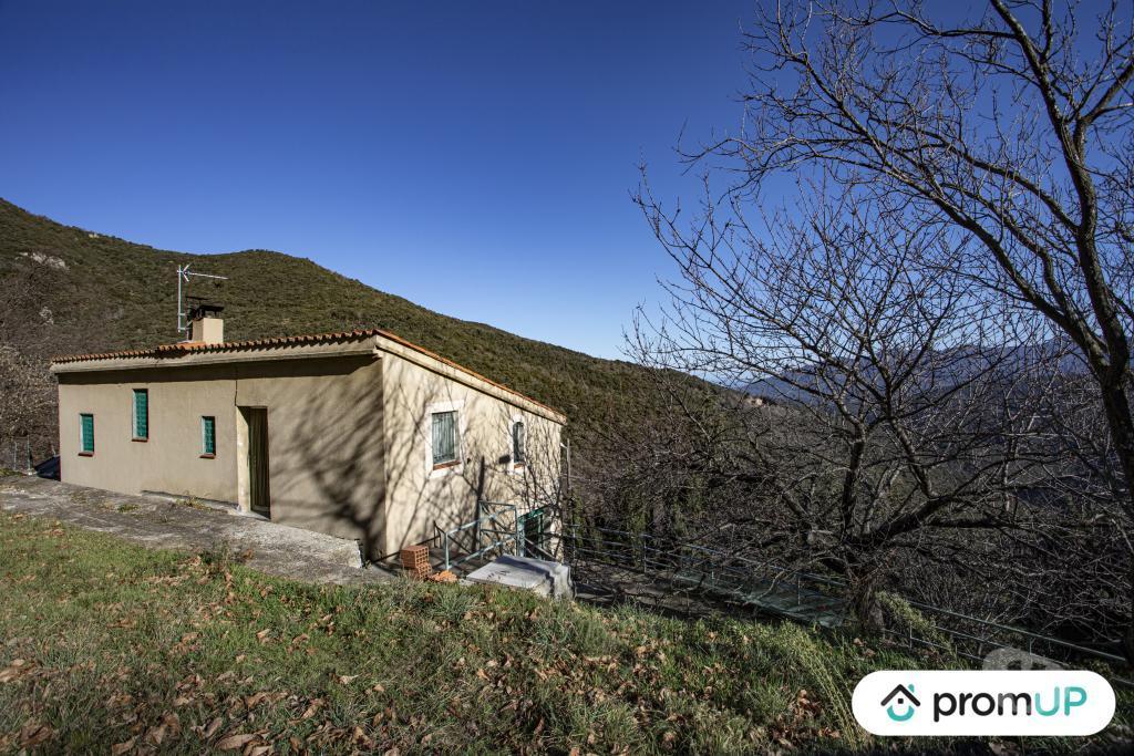 Terrain à vendre Pyrénées-Orientales Maureillas Las Illas - Photos Vivastreet (VT1254) Vend hangar agricole à Maureillas-las-Illas