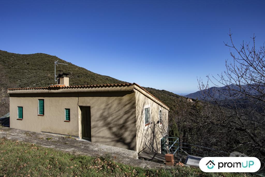 Terrain à vendre Pyrénées-Orientales Maureillas Las Illas - Photos Vivastreet (VT1254) Vend hangar agricole à Maureillas-las-Illas