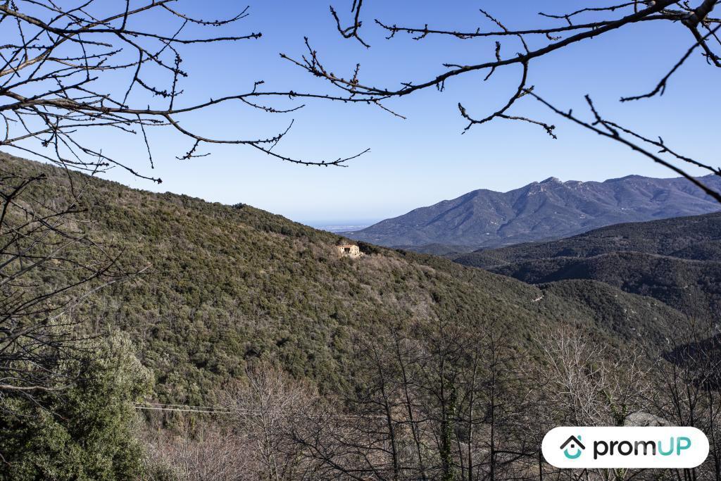 Terrain à vendre Pyrénées-Orientales Maureillas Las Illas - Photos Vivastreet (VT1254) Vend hangar agricole à Maureillas-las-Illas