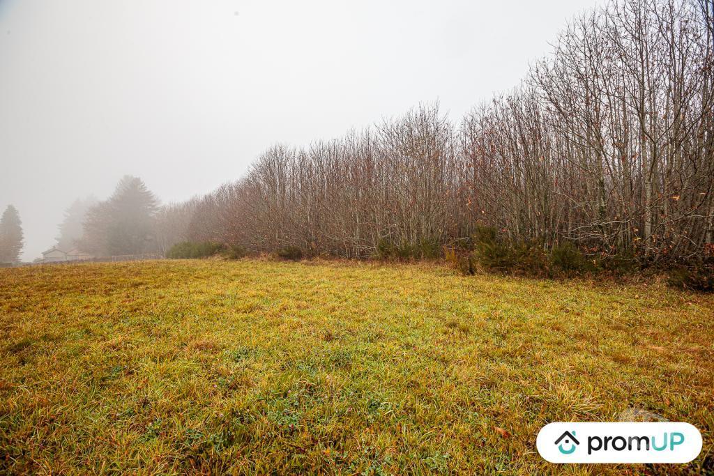 Terrain à vendre Haute-Vienne Pageas - 87230 - Photos Vivastreet (VT1125) Grand terrain constructible et piscinable - Parc naturel