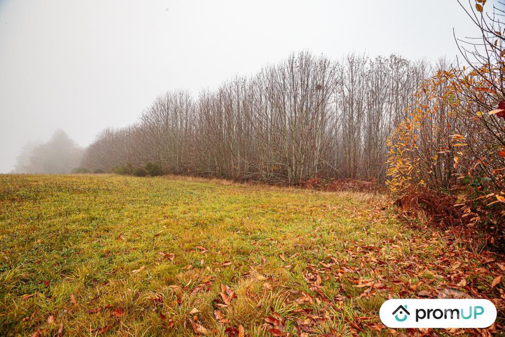 Terrain à vendre Haute-Vienne Pageas - 87230 - Photos Vivastreet (VT1125) Grand terrain constructible et piscinable - Parc naturel