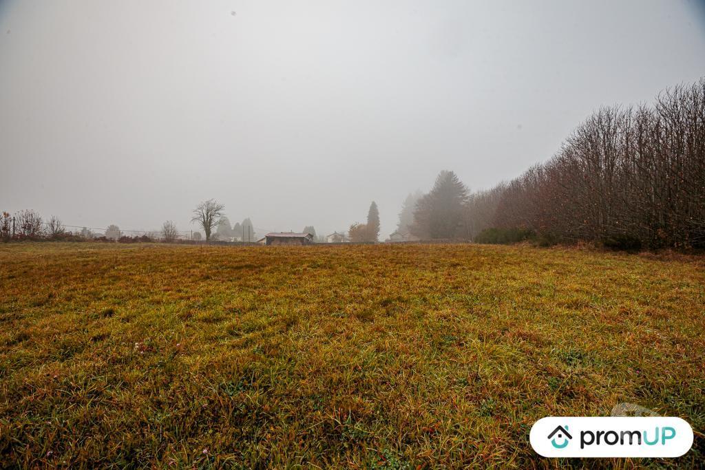 Terrain à vendre Haute-Vienne Pageas - 87230 - Photos Vivastreet (VT1125) Grand terrain constructible et piscinable - Parc naturel