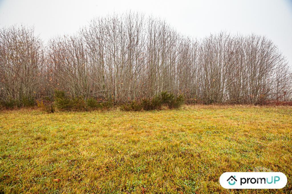Terrain à vendre Haute-Vienne Pageas - 87230 - Photos Vivastreet (VT1125) Grand terrain constructible et piscinable - Parc naturel
