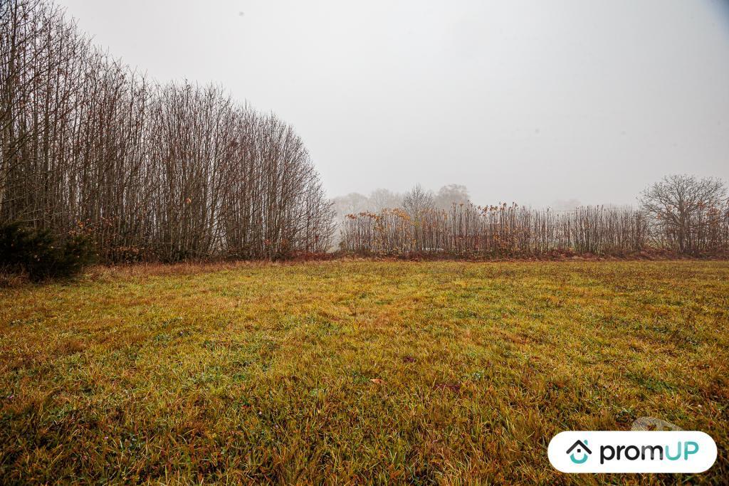 Terrain à vendre Haute-Vienne Pageas - 87230 - Photos Vivastreet (VT1125) Grand terrain constructible et piscinable - Parc naturel