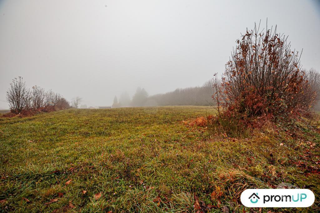 Terrain à vendre Haute-Vienne Pageas - 87230 - Photos Vivastreet (VT1125) Grand terrain constructible et piscinable - Parc naturel