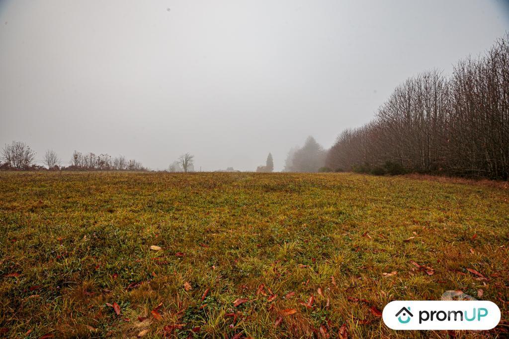 Terrain à vendre Haute-Vienne Pageas - 87230 - Photos Vivastreet (VT1125) Grand terrain constructible et piscinable - Parc naturel