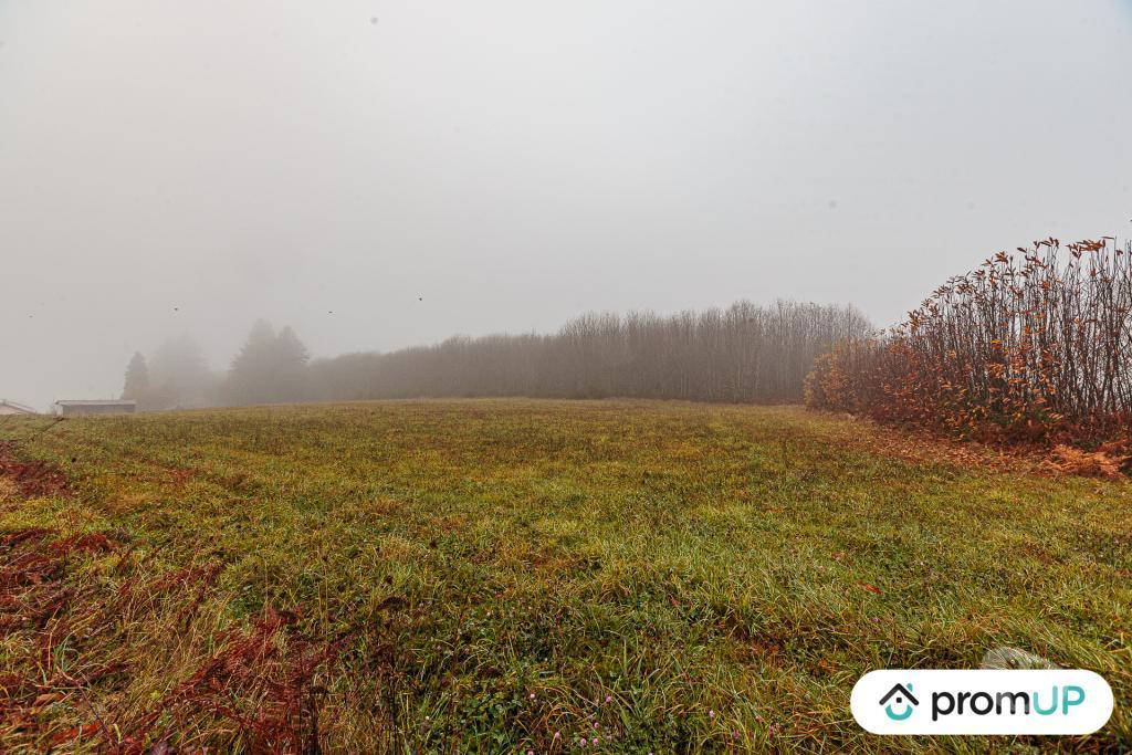 Terrain à vendre Haute-Vienne Pageas - 87230 - Photos Vivastreet (VT1125) Grand terrain constructible et piscinable - Parc naturel