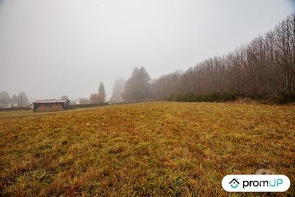 Vente Terrain Pageas Haute-Vienne - Photos Vivastreet (VT1125) Grand terrain constructible et piscinable - Parc naturel