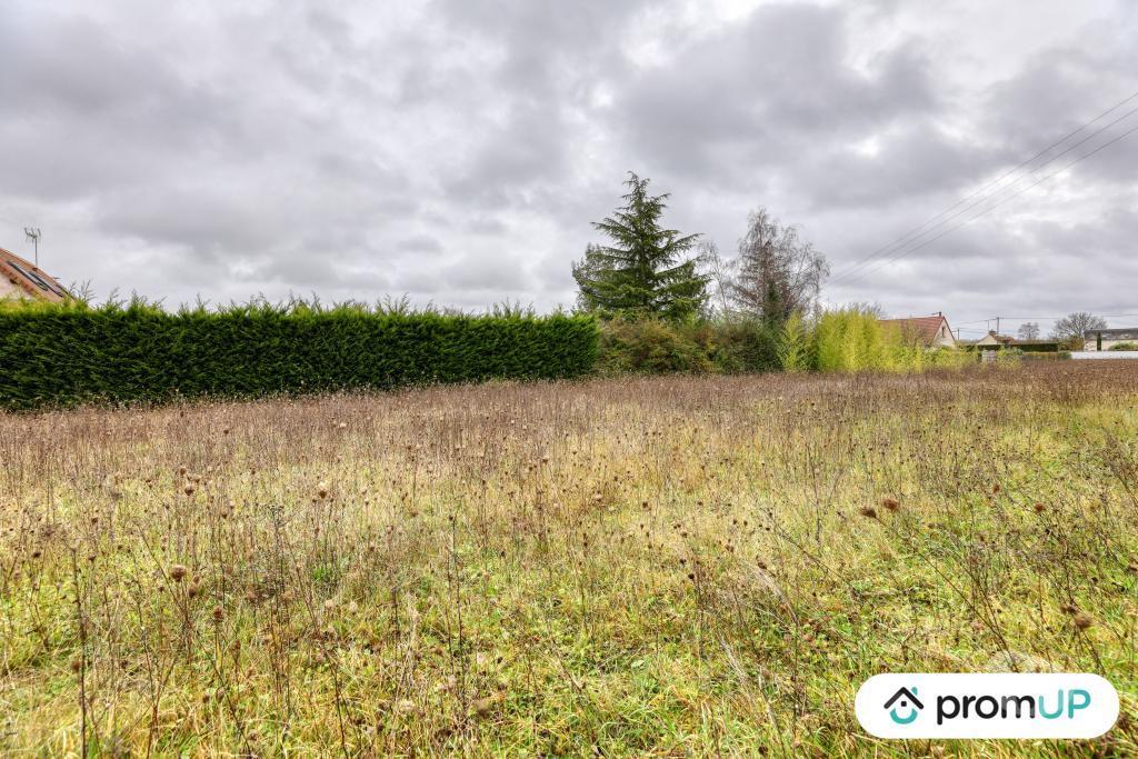Terrain à vendre Loir-et-Cher Cheverny - 41700 - Photos Vivastreet (VT1165) Terrain à vendre à Cheverny