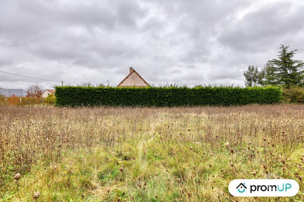 Terrain à vendre Loir-et-Cher Cheverny - 41700 - Photos Vivastreet (VT1165) Terrain à vendre à Cheverny