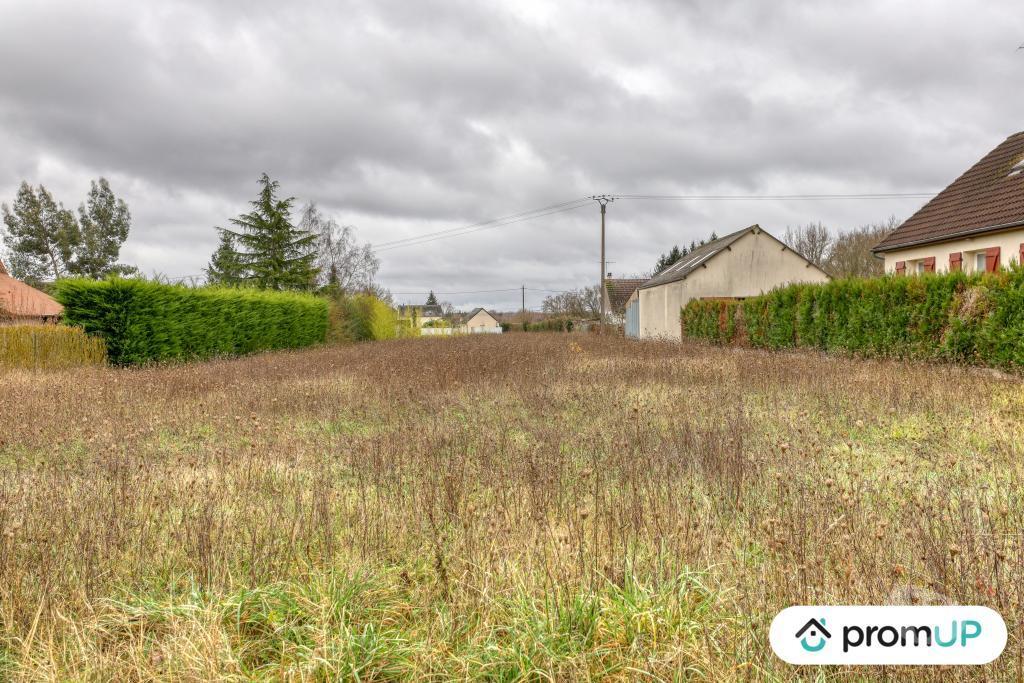 Terrain à vendre Loir-et-Cher Cheverny - 41700 - Photos Vivastreet (VT1165) Terrain à vendre à Cheverny