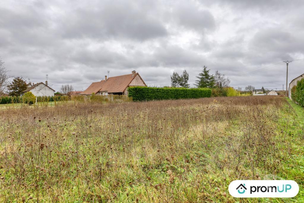 Terrain à vendre Loir-et-Cher Cheverny - 41700 - Photos Vivastreet (VT1165) Terrain à vendre à Cheverny