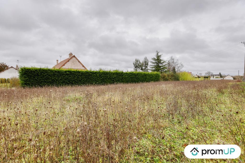 Terrain à vendre Loir-et-Cher Cheverny - 41700 - Photos Vivastreet (VT1165) Terrain à vendre à Cheverny