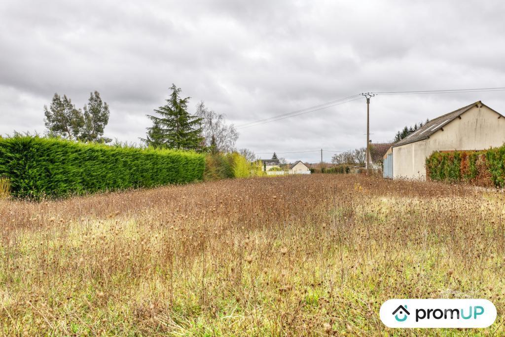 Terrain à vendre Loir-et-Cher Cheverny - 41700 - Photos Vivastreet (VT1165) Terrain à vendre à Cheverny