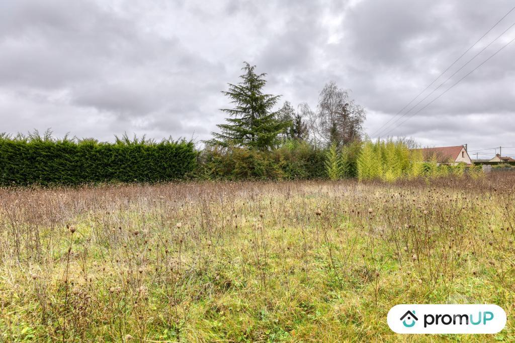 Terrain à vendre Loir-et-Cher Cheverny - 41700 - Photos Vivastreet (VT1165) Terrain à vendre à Cheverny